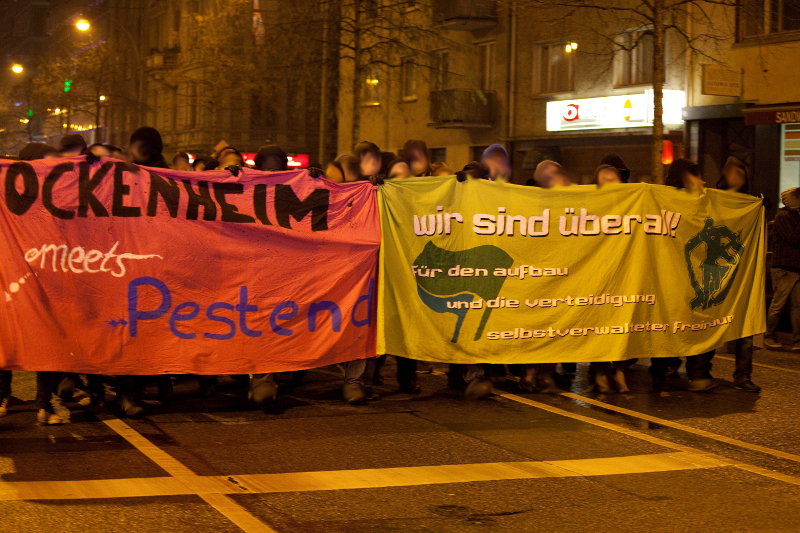 IVI Solidemo in Frankfurt am 14.02.2013 (Institut für vergleichende Irrelevanz)