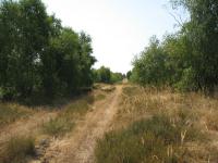 Feldweg parallel zum 'Schotterweg'