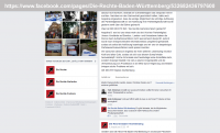 Angeline Bähren, Die Rechte, Facebook 03