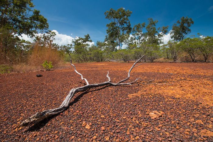 Aboriginal land