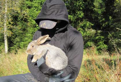 Animal Liberation Front: Tierbefreiung in Schweden! 1