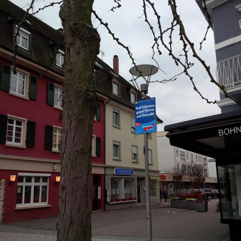 AFD Plakat Rheinfelden