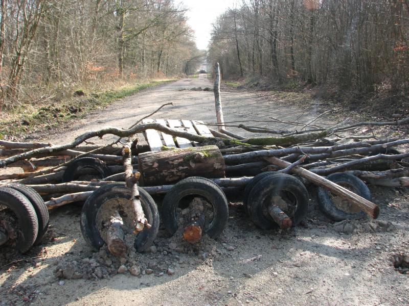 Mehr Barrikaden im Wald