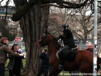 Polizeieinsatz mit Schlagstock und Pferd gegen Antifaschist_innen