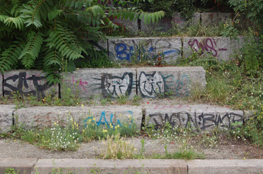 katzen amphitheater mauerpark