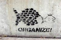 Organize!