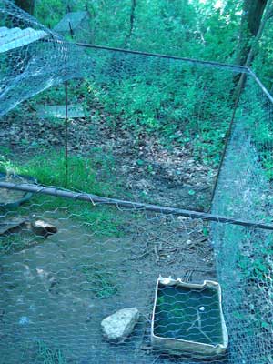 "Jusqu'à ce que chaque cage soit vide."