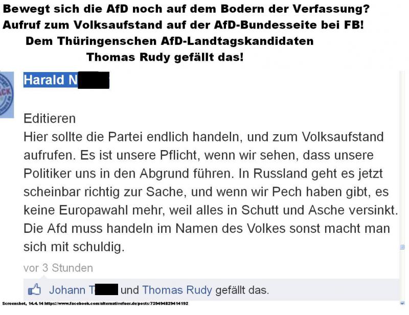 AfD Landtagskandidat Thüringen gefällt Aufruf zum Volksaufstand