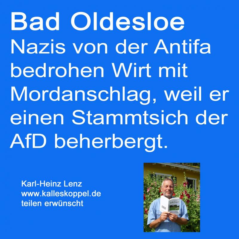 AfD-Propaganda