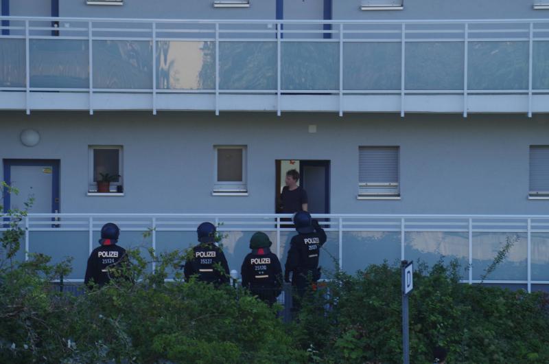 bullen versuchen in nachbarhaus zu gelangen