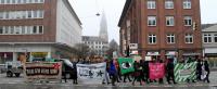 Tierbefreiungs-Demo in Kiel - 2