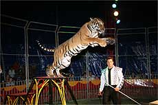 Zirkus Las Vegas