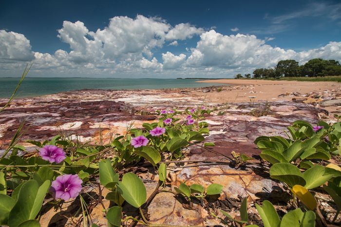 Aboriginal land