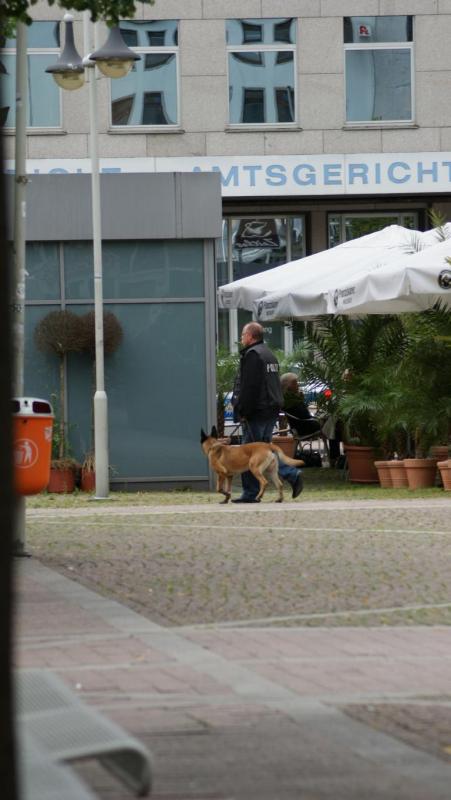 2 Bombenspürhund