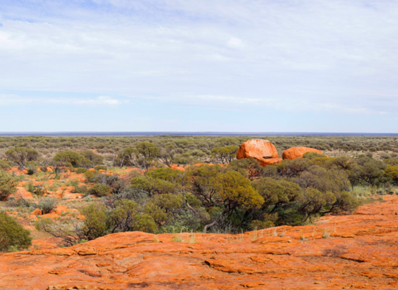 Yeelirrie country