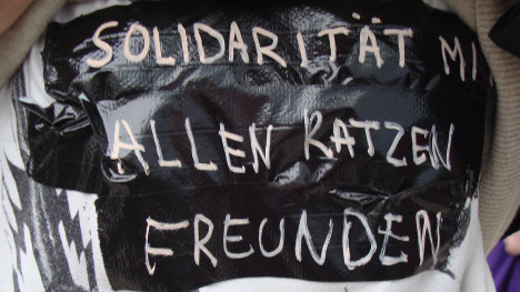 Solidarität mit allen Katzenfreunden