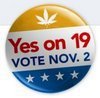 yeson19