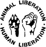 Total Liberation