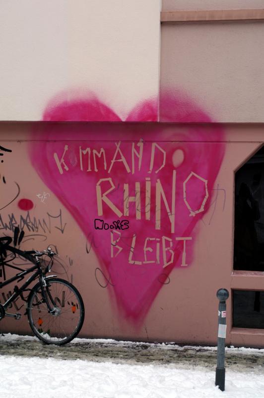 «Kommando Rhino» bleibt!