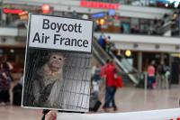 Air France stoppen!