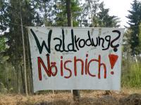 Waldrodung? Nö is nich