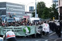 3. Rhino-bleibt Bass-Parade (Foto von AG Freiburg/FlicR)