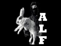 ALF