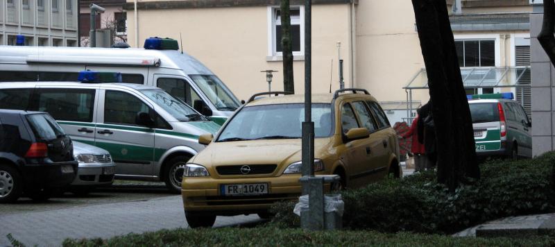 Freiburger Bullen in den Startlöchern