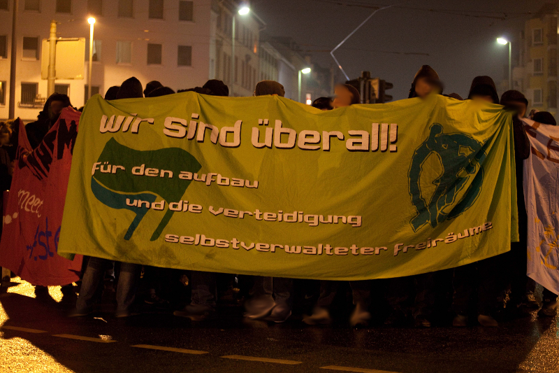 IVI Solidemo in Frankfurt am 14.02.2013 (Institut für vergleichende Irrelevanz)