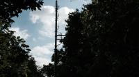 Der Funkmast im Tiergarten ist frei zugänglich