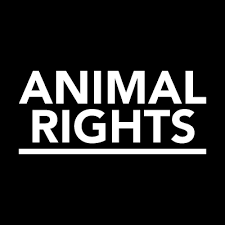 Animal Rights