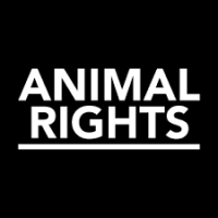 Animal Rights