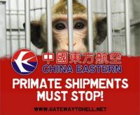 "china eastern" kampagne erfolgreich beendet!