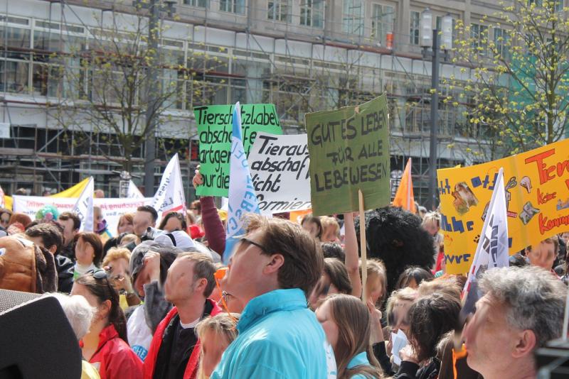 Air France Demo in Berlin 8