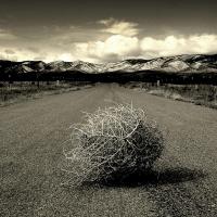 tumbleweed