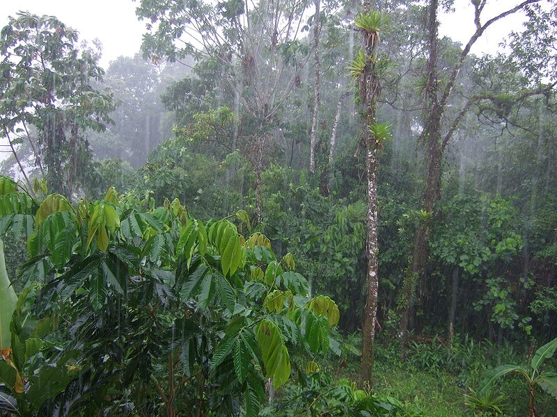 Tena - Ecuador