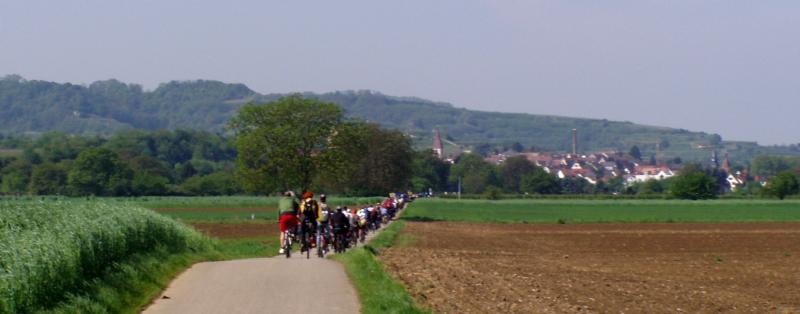 Die Fahrradkolone rollt auf Endingen zu 