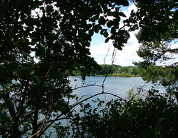 Blick auf Mönchswaldsee 2008