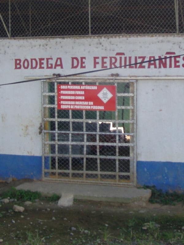 Banana Bodega