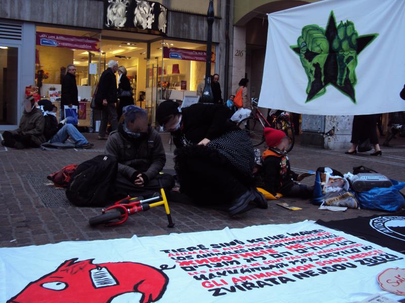 [Freiburg] Soli-Aktion für Tierbefreiungsaktivist_innen 2