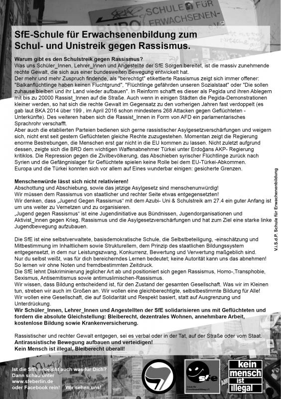 Flyer Schulstreik.