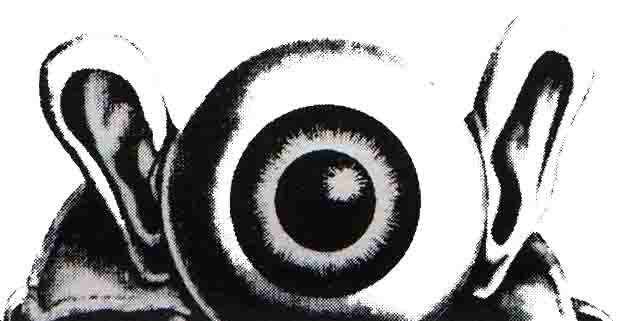 eye