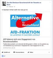 Daumen hoch: rechte Burschen mögen die AfD. Screenshot