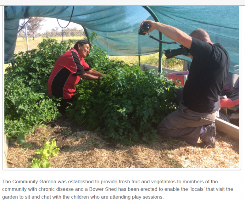 Walgett Aboriginal Medical Service Co-op Ltd Sophia Byers who manages Community Market Gardens.