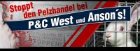 P&C Kampagne-Banner 