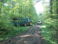 Barrikaden im Hambacher Forst zerstört - 2