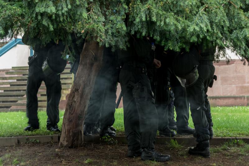 BFE versteckt sich im Grün