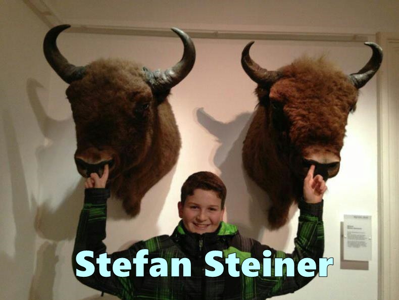 Stefan Steiner