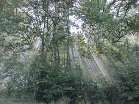 Gaz au petit matin du 1er septembre