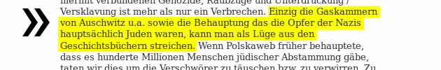 “Einzig die Gaskammern von Auschwitz [...] kann man als Lüge aus den Geschichtsbüchern streichen” – Volksverhetzung in einem mittlerweile gesperrten Artikel auf polskaweb.eu